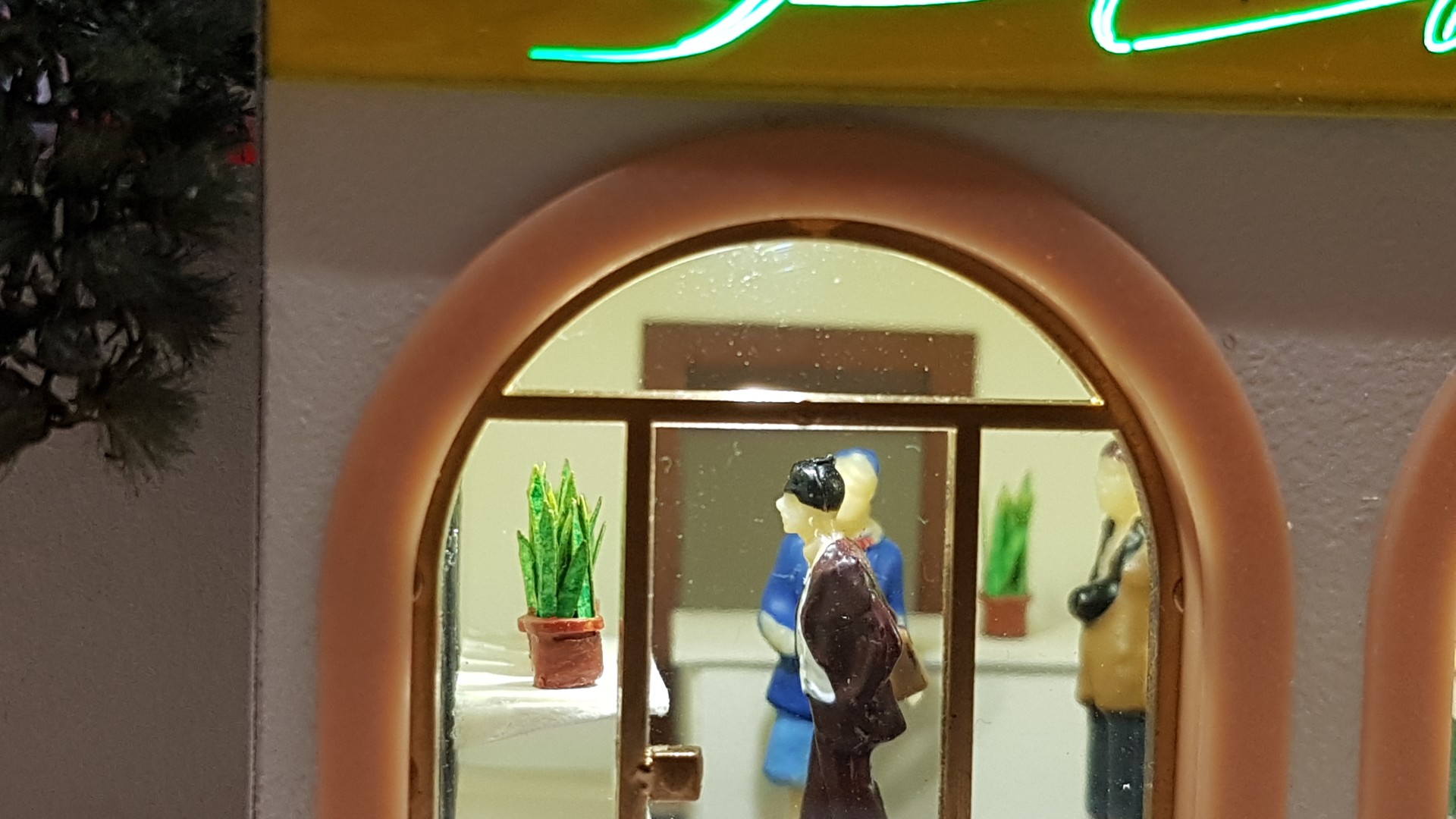 Die Sansevieria Pflanze im Rega