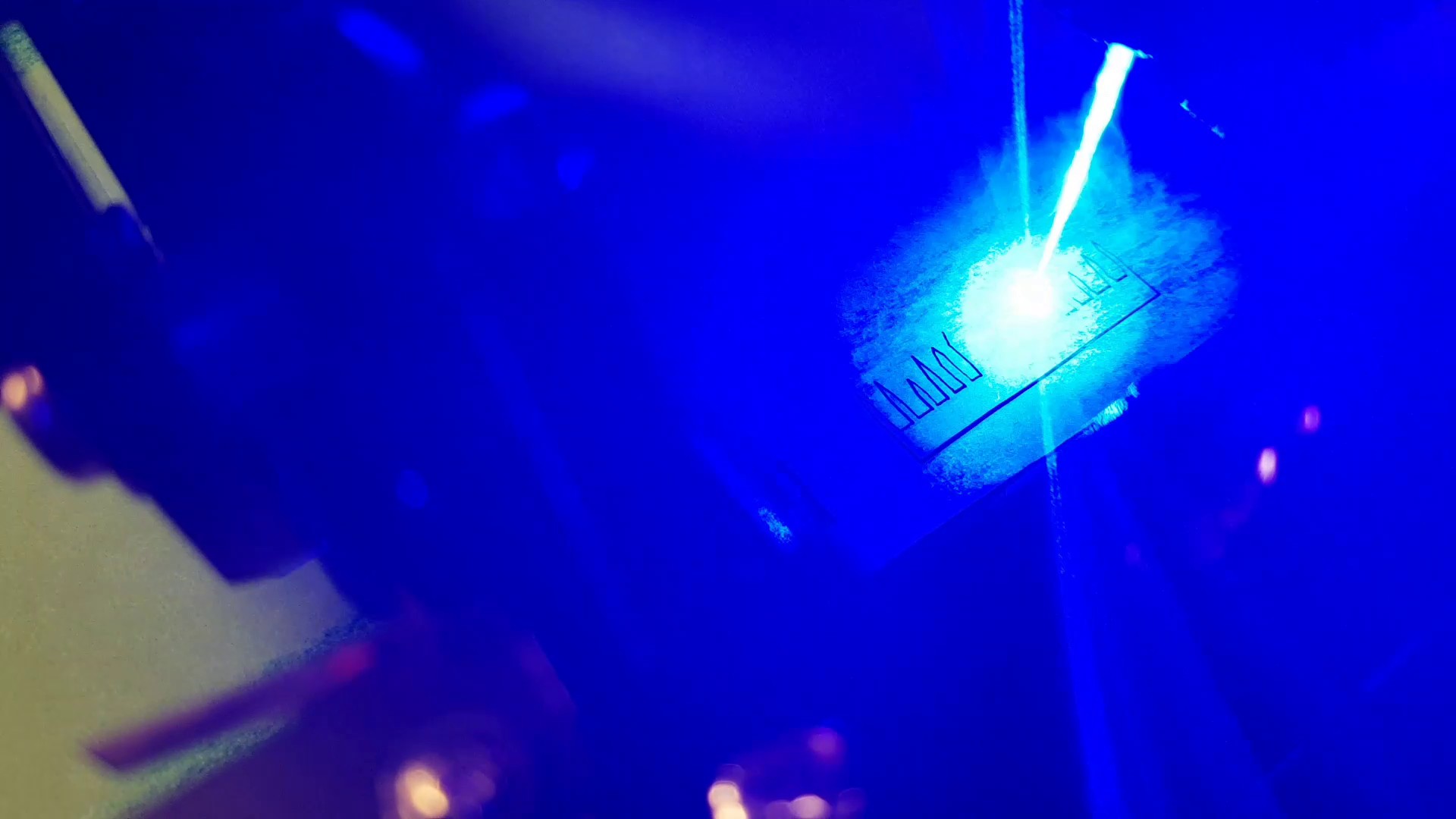 Zimmerpflanze mit Laser zuschneiden