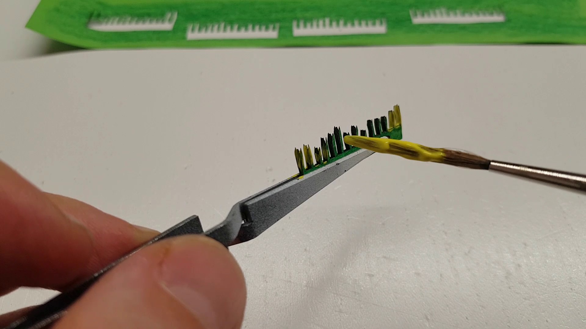 Blattränder der Sansevieria anmalen