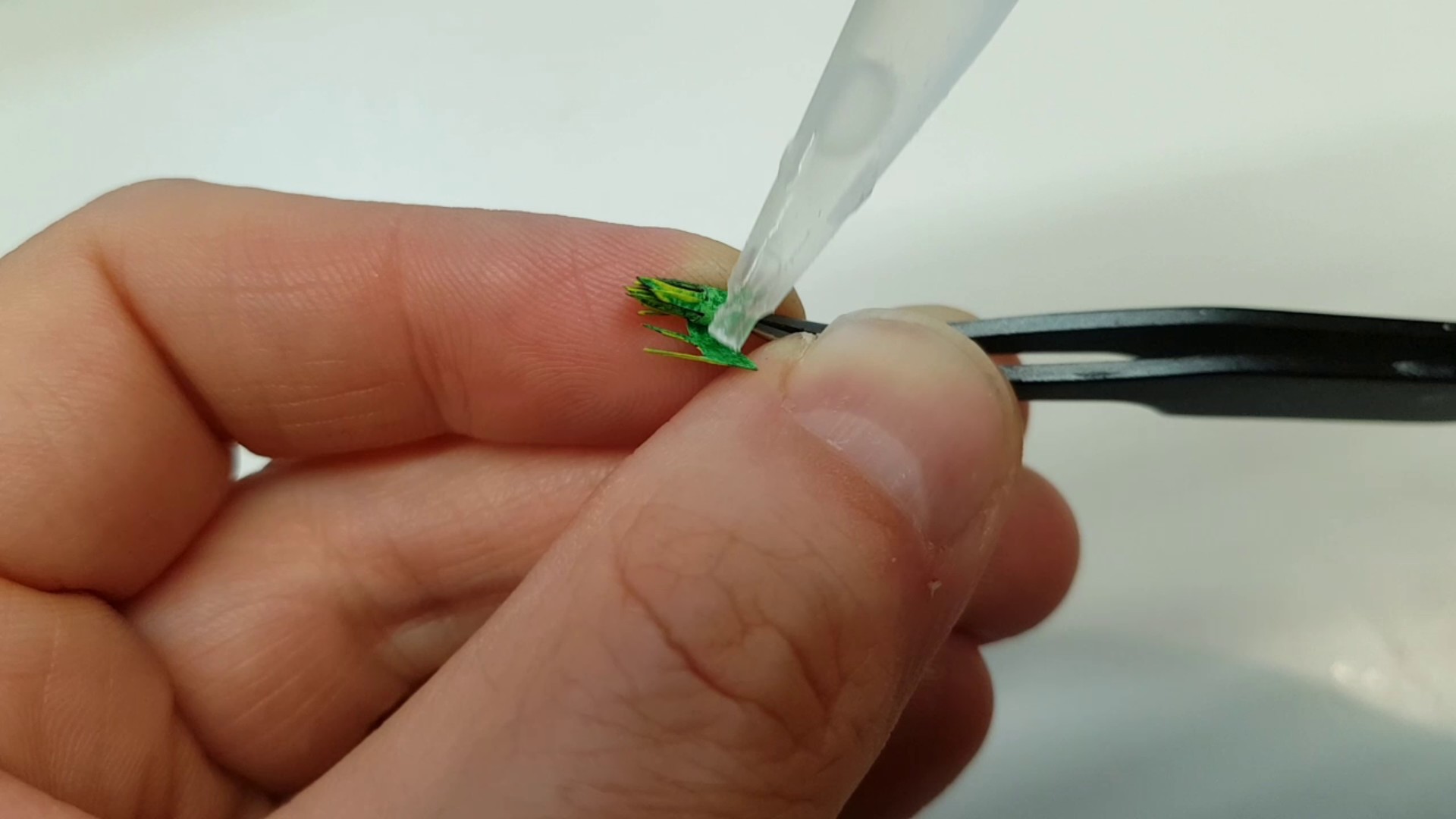 Sansevieria Pflanze zusammenkleben