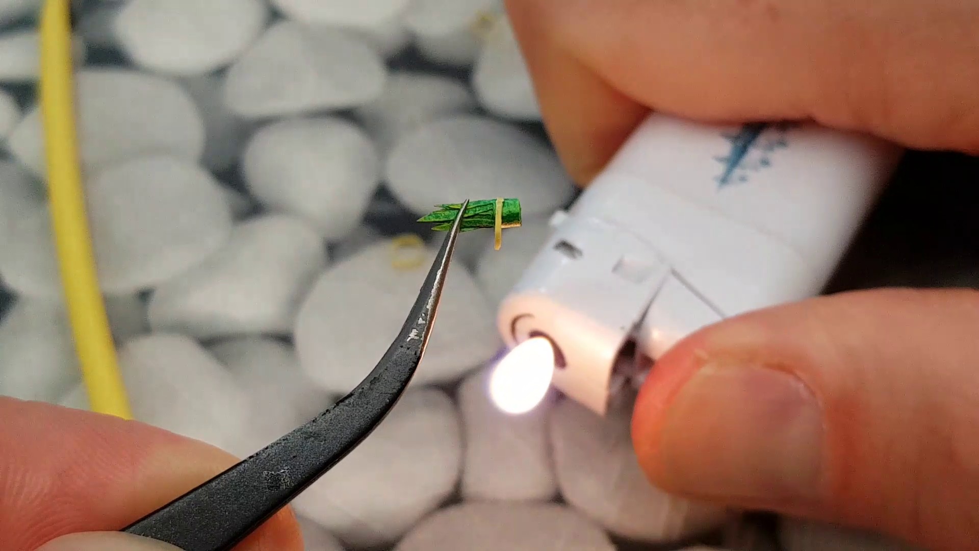 Sansevieria Pflanze mit Schrumpfschlauch