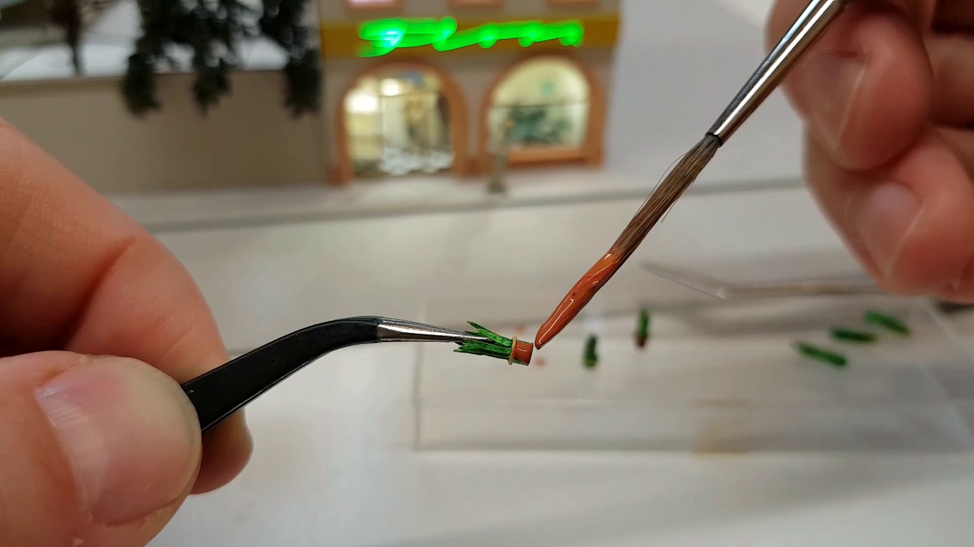 Die Sansevieria Pflanze im Regal